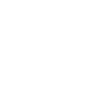 Brooklyn Detroit, McClure's Pickles